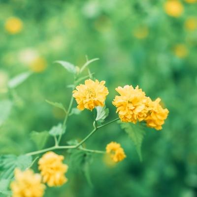 代号run最新版下载